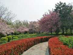 -洛阳市隋唐城遗址植物园