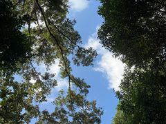 -紫金山山顶公园