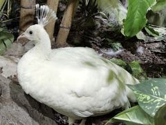 -海合安武汉极地海洋公园