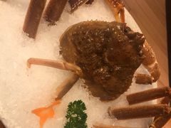 -王鼎精致料理铁板烧(世博源店)