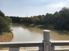 -上海海湾国家森林公园