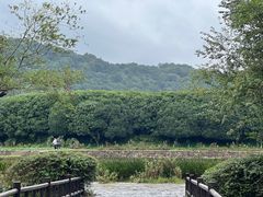 -八卦田遗址公园