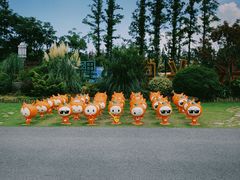 -上海长兴岛郊野公园