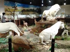 -陕西自然博物馆