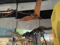 -湖南省地质博物馆