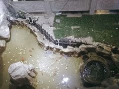 -鸭王烤鸭店(三里河店)