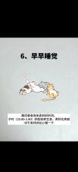 -金美秀养生瘦身