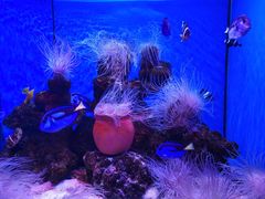 -多彩贵州城极地海洋世界