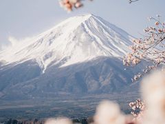-一道浪居酒屋