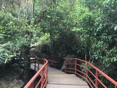 -呀诺达热带雨林