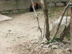 -长春公园(普阳街道)