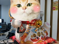 -Best U照相馆证件照·外拍(五角场店)