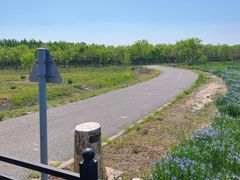 -西青郊野公园