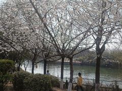 -西安汉城湖景区