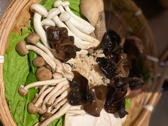 -盡膳口福跷脚牛肉火锅(北美新天地店)