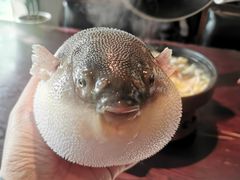 -永安鱼庄·镇江菜(东吴路店)