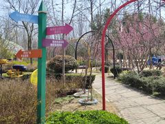 -合肥滨湖国家森林公园