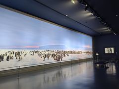 -罗红摄影艺术馆