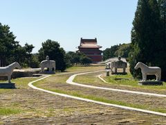 -清东陵