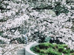 -杭州少年儿童公园