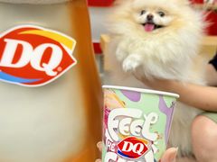 -DQ·蛋糕·冰淇淋(五角场万达店)