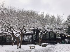 -团城山公园
