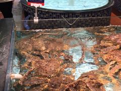 水产区-尚海豆捞(乐虹坊店)