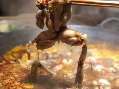 -老天桥蛙炉火锅(姑苏总店)