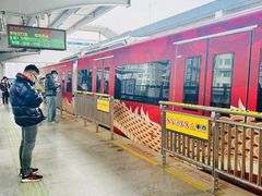 -循礼门鲜花花市(武汉循礼门店)