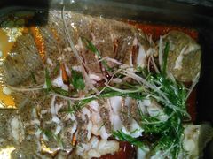 清蒸多宝鱼-银龙酒店-巴黎时光西餐厅