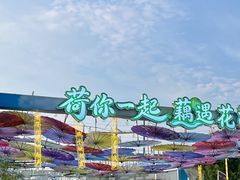 -荷兰花海