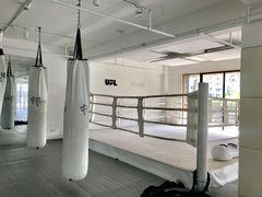 -EFL巴西柔术·综合格斗·泰拳·少儿体能训练(虹桥德必馆)
