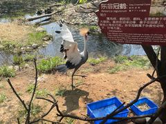 -济南野生动物世界