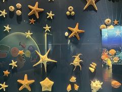 -浙江自然博物院(杭州馆)