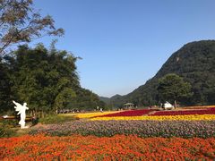 -广州市石门国家森林公园