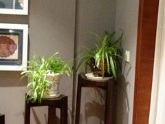 -黔蘑菇四季餐厅(观山湖店)