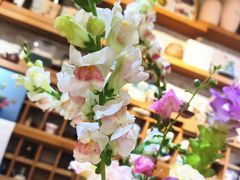 -今日陶艺(富力广场店)