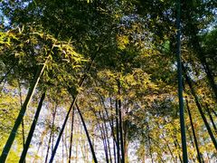 -浙江大学(玉泉校区)
