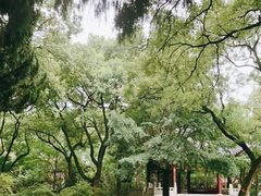 -汇龙潭