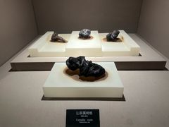 -河姆渡遗址博物馆