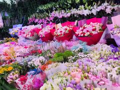 -朝来春花卉市场