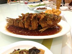 -金春禧(世茂国际广场店)