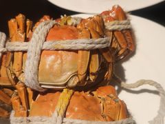 -上海锦江汤臣洲际大酒店壹阶层