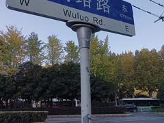 -黄鹤楼