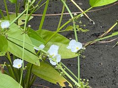 -成都市活水公园