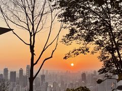 -南山植物园