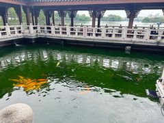 -惠州西湖丰渚园