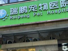 -瑞鹏宠物医院·宠保定点·心脏科·内科(御桥分院)