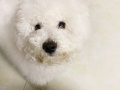 -拾光秀照相馆(石家庄勒泰中心店)
