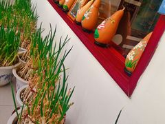 -龙福源密云水库灶台鱼